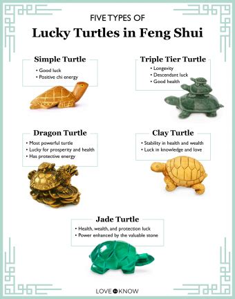 where to place feng shui turtle